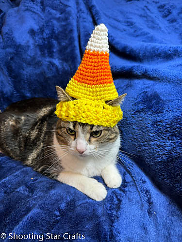Candy Corn Hat for Cats photo 1