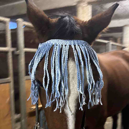 Horse Fly Fringe