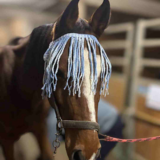 Horse Fly Fringe Crochet Pattern
