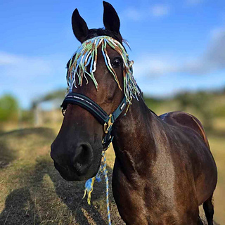 Horse Fly Fringe Crochet Pattern