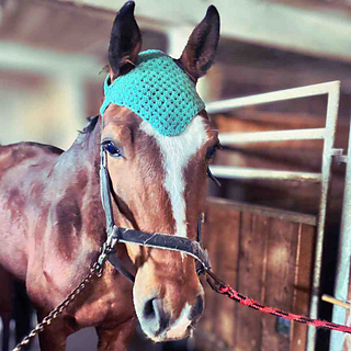 granny stitch horse bonnet crochet pattern free