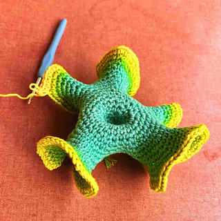 Hyperbolic Crochet 