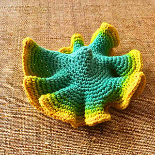 Hyperbolic Crochet 