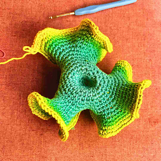 Hyperbolic Crochet 