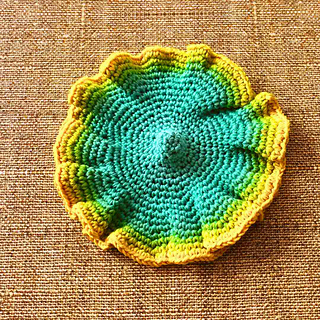 Hyperbolic Crochet 