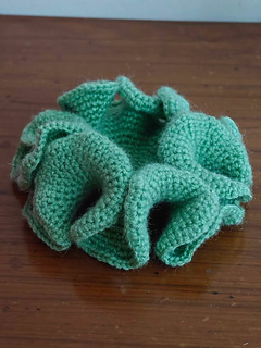 How to crochet a hyperbolic plane