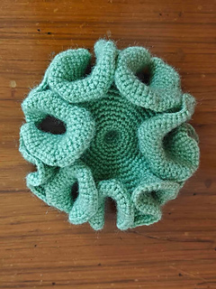 How to crochet a hyperbolic plane