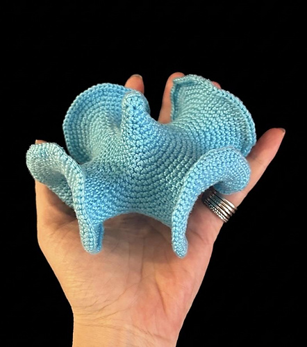 Hyperbolic Crochet Experiment