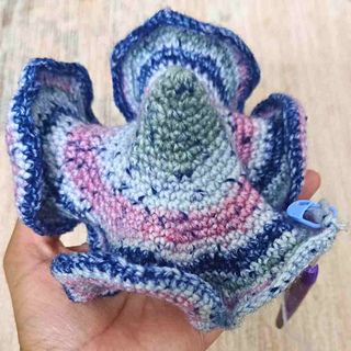 How to crochet a hyperbolic plane