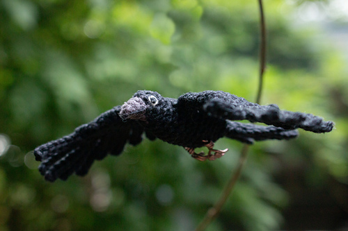 Caolán the Crow