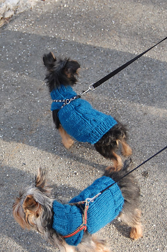 Single Cable Small Dog Sweater photo 5