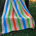 Wild Rumpus Baby Blanket pattern 
