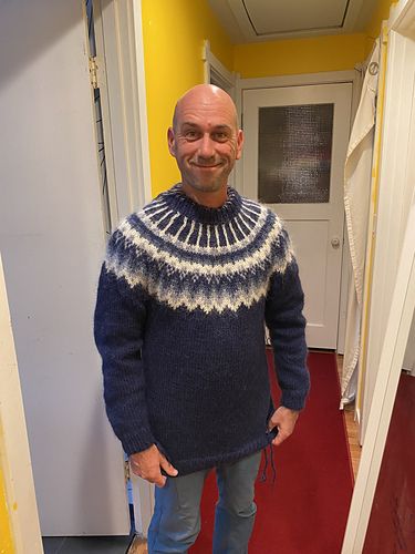 His and Her Pullover / Heil, Hneppt Peysa photo 1