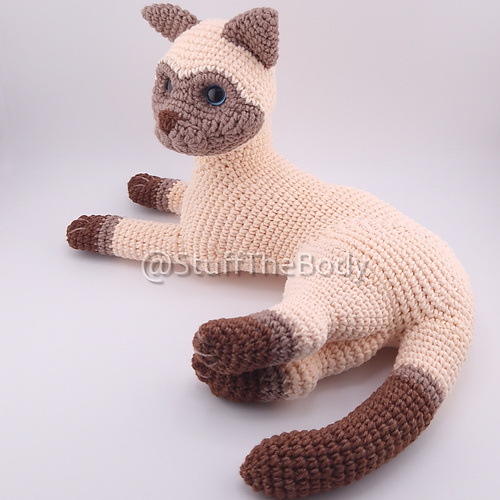Sunny The Siamese Cat