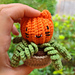Perry - the pumpkin cat. pattern