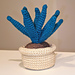 Potted plant pattern