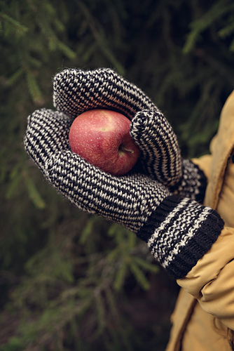 Tvebandvotter - Bladet garn