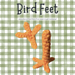Bird Feet pattern
