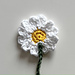 Easy Peasy Daisy photo 3