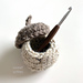 Acorn Container Storage Box photo 4