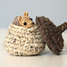 Baby Squirrel in Acorn photo 3