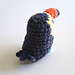 Taki the Toucan photo 3