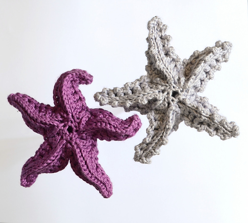 New_Main_Starfish_medium.JPG