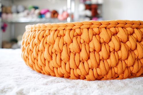 Big Little Pet Bed photo 8