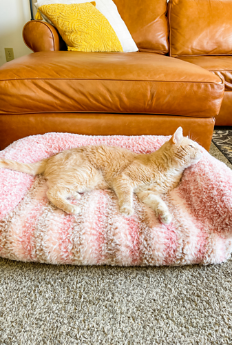 Peanut's Cat Couch photo 4