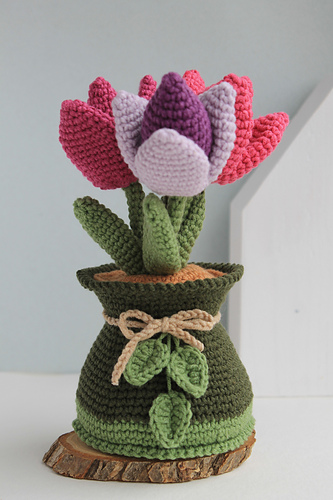 Spring Tulips in Pot