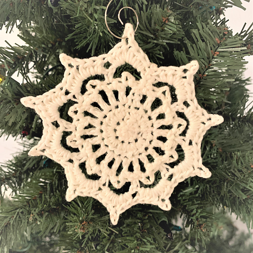Zeta Snowflake photo 6