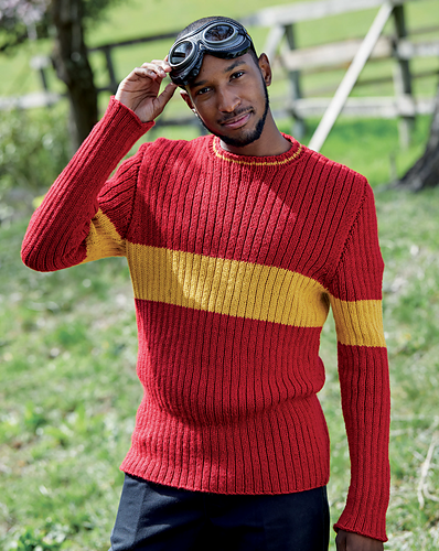 Hogwarts Quidditch Genser - Insight Editions