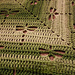 Top Down Dragonfly Shawl pattern 