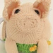 British Lop Pig Tea Cosy pattern 