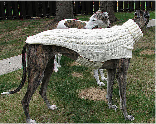 Ravelry: Side Button Greyhound Sweater pattern by Terri Lee Royea