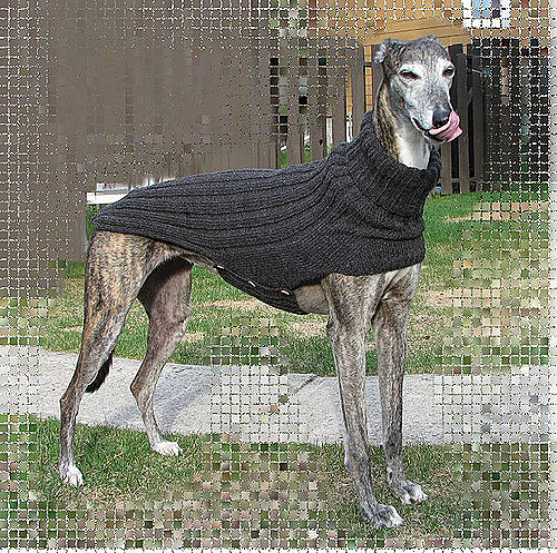 Ravelry: Side Button Greyhound Sweater pattern by Terri Lee Royea
