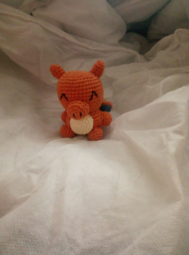Charizard photo 3