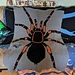 Tarantula Throw pattern 
