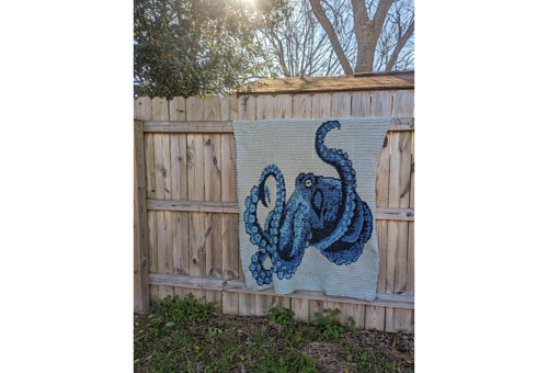 Throw - Stacie Renda