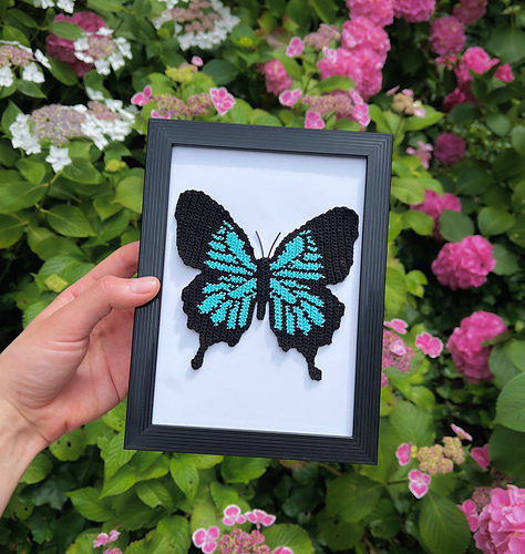 Papilio Ulysses Tapestry