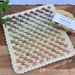 Aurelia Wash / Dishcloth pattern