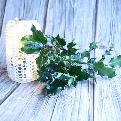 Moonlight Jar Cosies photo 2