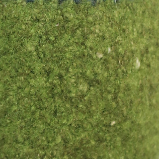 Golly Green