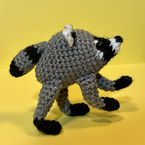 Jimothy the Raccoon