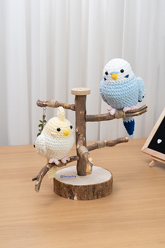 Bird Parrot Blue Budgie and Cockatiel