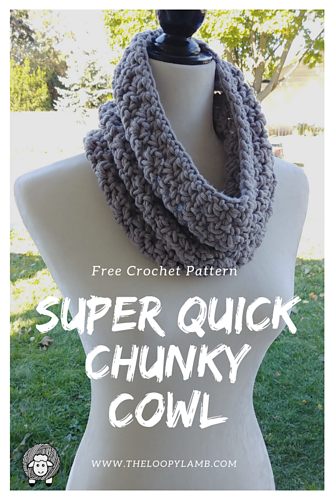 Super Quick Chunky Cowl photo 4