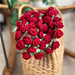 Rose Bouquet Blanket pattern 