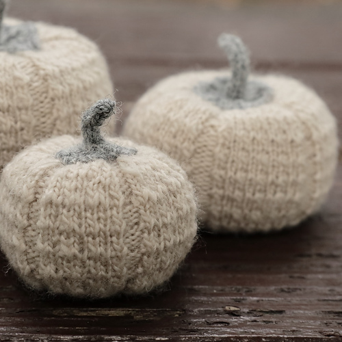 Pumpkin No8