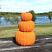 From Paris With Pumpkin pattern 