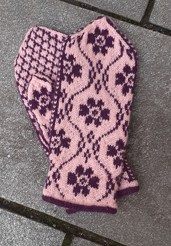 Vinterrosevotter - Toril Agnes Landrø